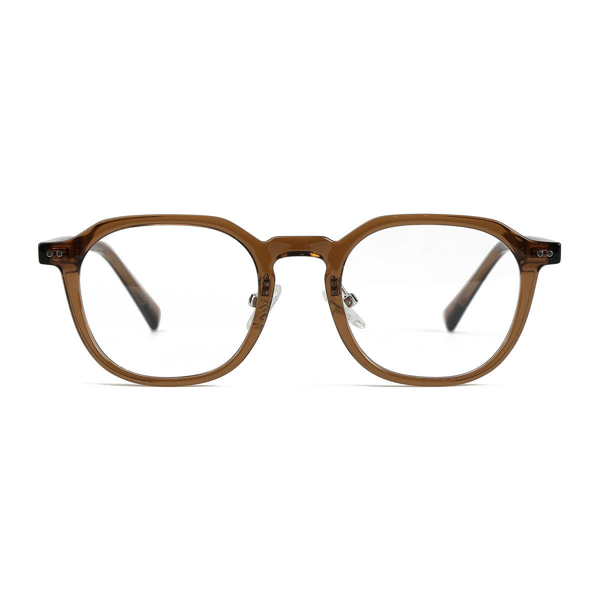Hydra Brownish